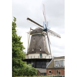 Alkmaar - 't Roode Hert 02