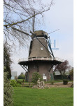 Coevorden - De Arend 02