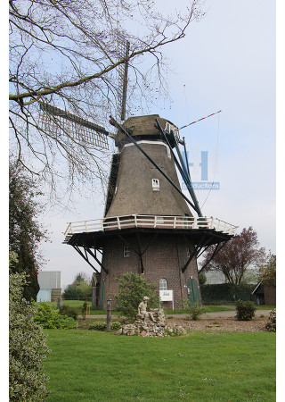 Coevorden - De Arend 02