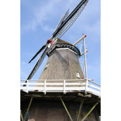 Coevorden - De Bente 02