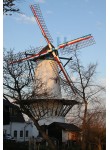 Deil - De Vlinder 02