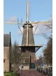 Delft - De Roos 01