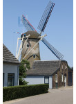 Den Hout - De Hoop 01