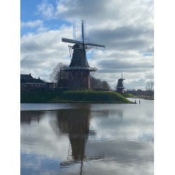 Dokkum - De Hoop en Zeldenrust