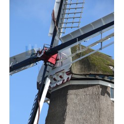 Dokkum - Zeldenrust 02