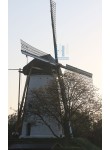 Geldermalsen - De Bouwing 03