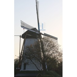 Geldermalsen - De Bouwing 03