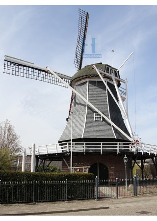 Haaksbergen - De Korenbloem 03