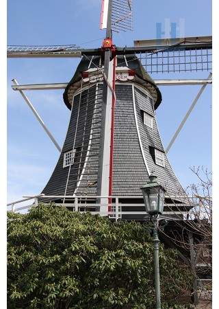 Haaksbergen - De Korenbloem 01