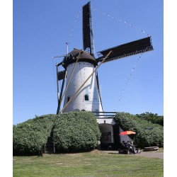 Halsteren - Sint Antonius 03