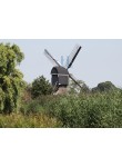 Hoornaar - Oudendijkse Molen 01