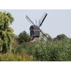 Hoornaar - Oudendijkse Molen 01