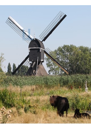 Hoornaar - Oudendijkse Molen 02