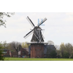 Kantens - Grote Geert 02