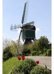Kockengen - Kockengense Molen 01