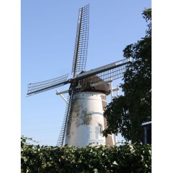 Laar - Sint Antoniusmolen 02