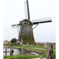Lisse - De Lisserpoelmolen 01