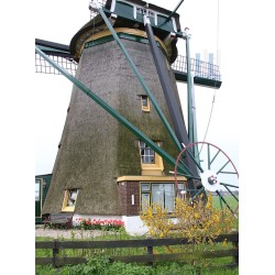 Lisse - De Lisserpoelmolen 02