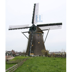 Lisse - De Lisserpoelmolen 03