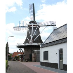 Ommen - De Lelie 01