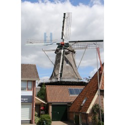 Ommen - De Lelie 03