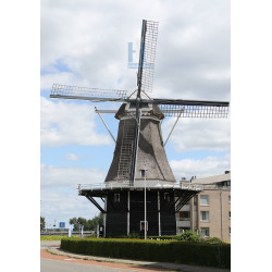 Ommen - Konijnenbelt 02
