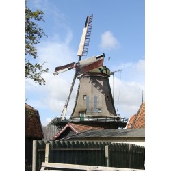 Oudeschild - De Traanroeier 01