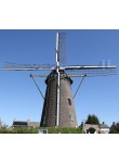 Stramproy - De Nijverheid 02