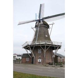 Veenoord - Nooitgedacht 01