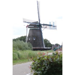 Zwolle - Windesheimermolen 02