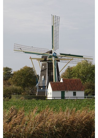 Aagtekerke - Aagtekerkse Molen 02