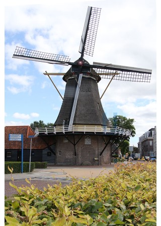 Dalfsen - Westermolen 01