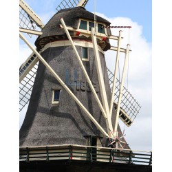 Oldebroek - Molen De Hoop 03