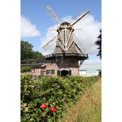 Oldebroek - Molen De Hoop 01