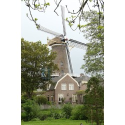 Culemborg - De Hoop 01
