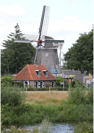 Ommen - Molen Den Oord 02