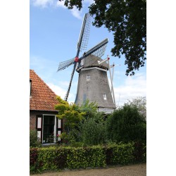 Ommen - Molen Den Oord 01
