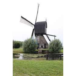 Dussen - Noordveldse molen 01