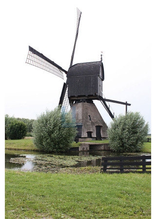 Dussen - Noordveldse molen 01