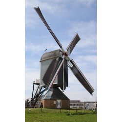 Sprang-Capelle - Dye Sprancke 02