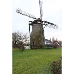 Elst - 't Wissel 03