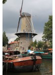 Gouda - De Roode Leeuw 01