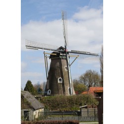 Drunen - De Hertogin van Brabant