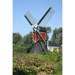 Leiden - De Kikkermolen 01