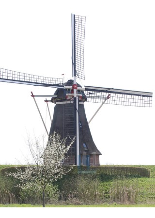 Waardenburg - Korenmolen 02