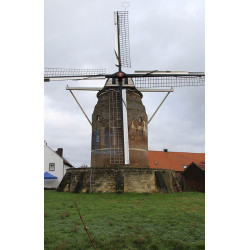 Maastricht - Torenmolen van Gronsveld 03