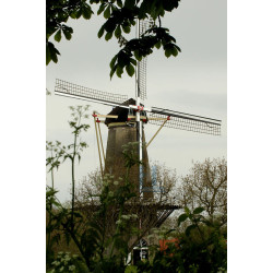 Buren - De Prins van Oranje 01