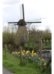 Werkendam - Vervoornemolen 02
