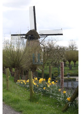 Werkendam - Vervoornemolen 02