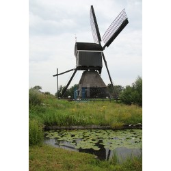 Lexmond - Vlietmolen 01